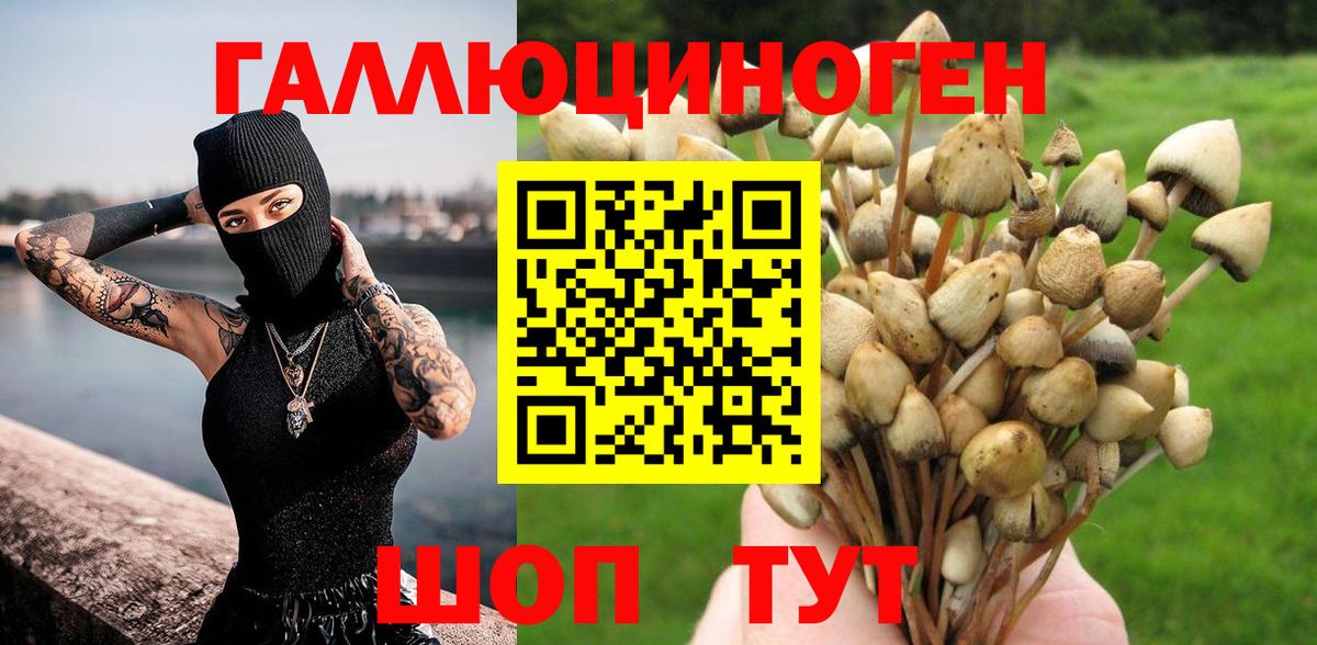 Псилоцибиновые грибы мицелий  Псилоцибиновые грибы ЛСД  Вход с VPN  Рязань 